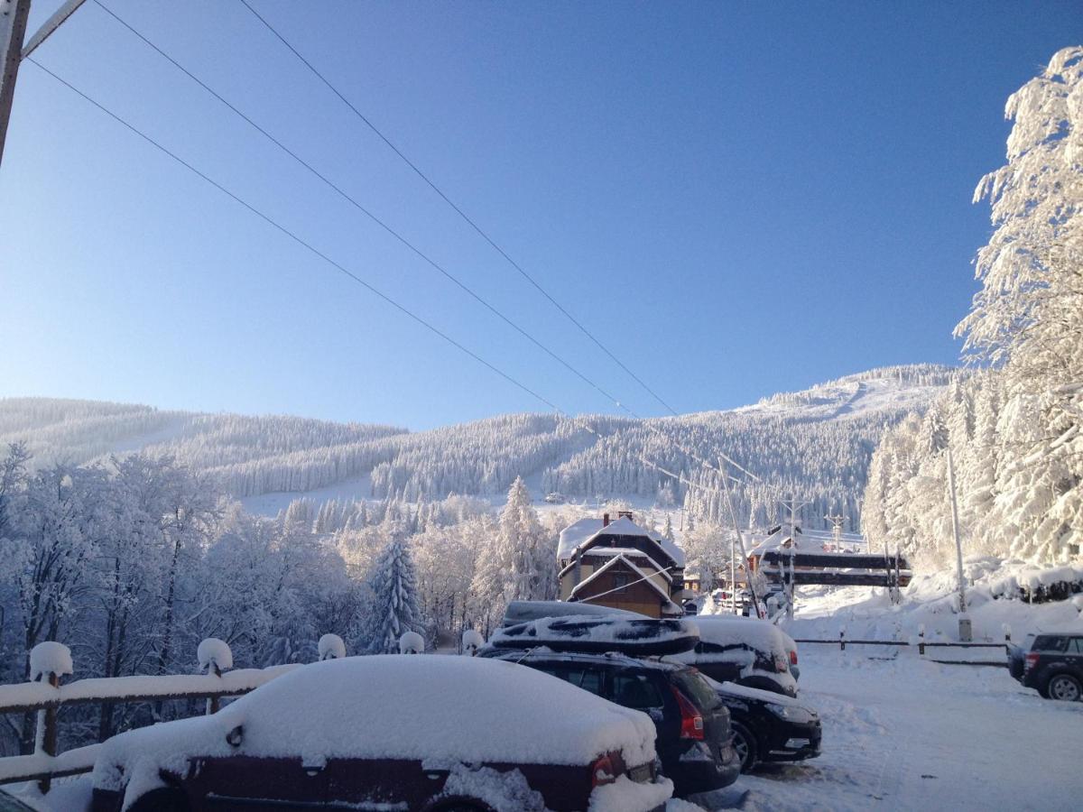 Bed and Breakfast Zlote Gory - Czarna Gora Sienna  Esterno foto